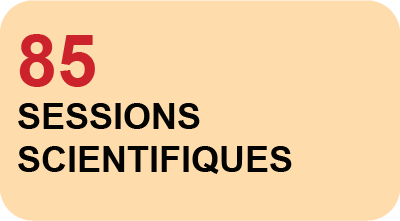 Plan de travail 1 copie 3